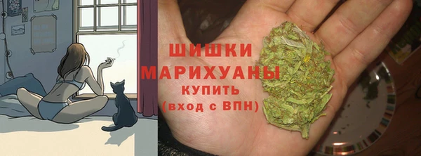 мдма Заводоуковск