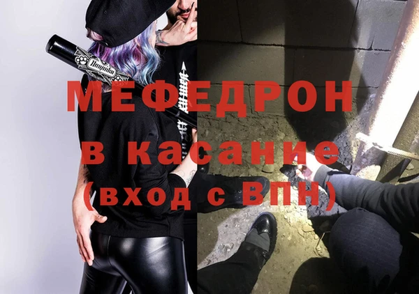 гашик Ельня