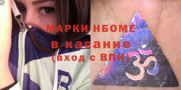 гашик Ельня