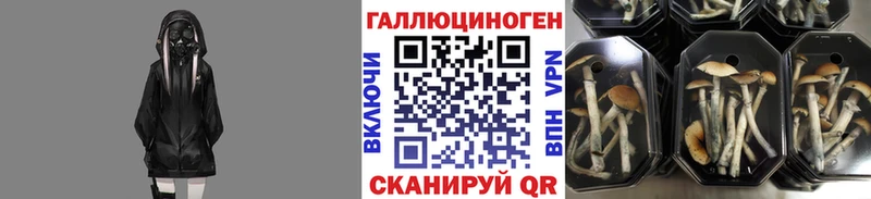 Псилоцибиновые грибы прущие грибы  Купить закладки  Заозёрный 