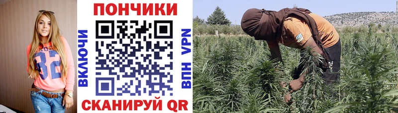 Купить закладки  Заозёрный  Бошки марихуана семена 
